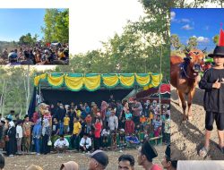 Kerapan Sapi Perdana di Desa Juruan Daya Disambut Meriah, Warga Harap Jadi Agenda Tahunan
